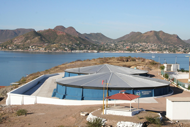 El Puerto de Guaymas pública convocatoria para licitación de una instalación de fluidos